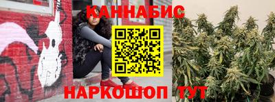 стафф Заводоуковск