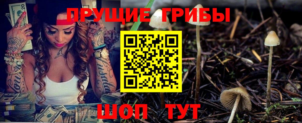 Менделеевск  Галлюциногенные грибы ЛСД  Вход с VPN 