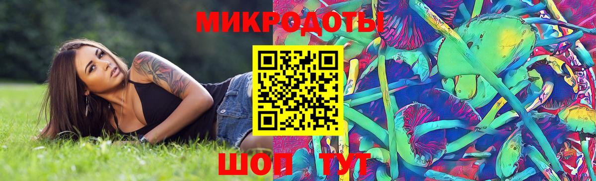 Псилоцибиновые грибы Psilocybe Менделеевск